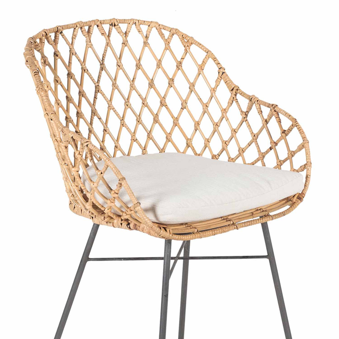 Rotan fauteuil Borneo